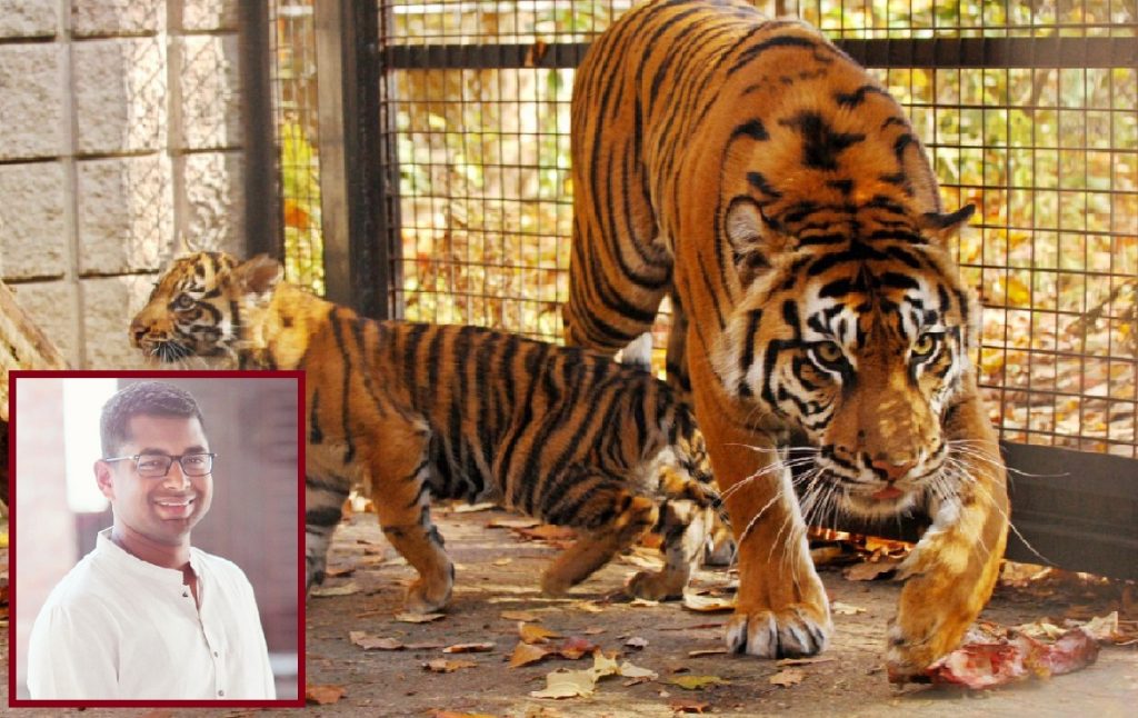 তোমারও কি চিড়িয়াদের মতোই কান্না পাচ্ছে?