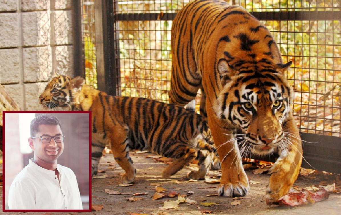 তোমারও কি চিড়িয়াদের মতোই কান্না পাচ্ছে? তোমারও কি চিড়িয়াদের মতোই কান্না পাচ্ছে?