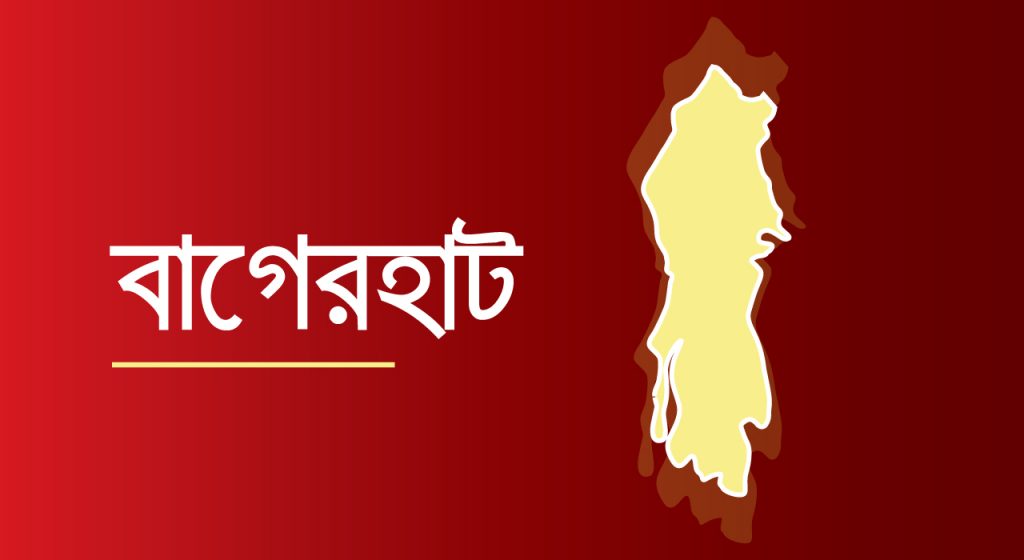 বাঘের চামড়াসহ এক চোরা শিকারি গ্রেফতার