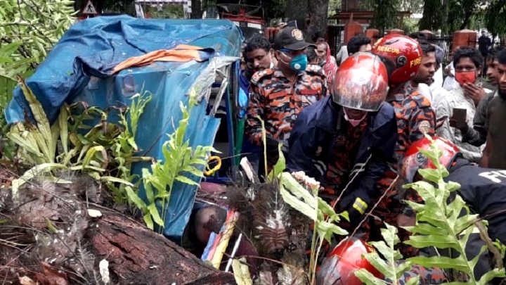 জামালপুরে কালবৈশাখী ঝড়ে গাছ চাপা পড়ে নিহত ১
