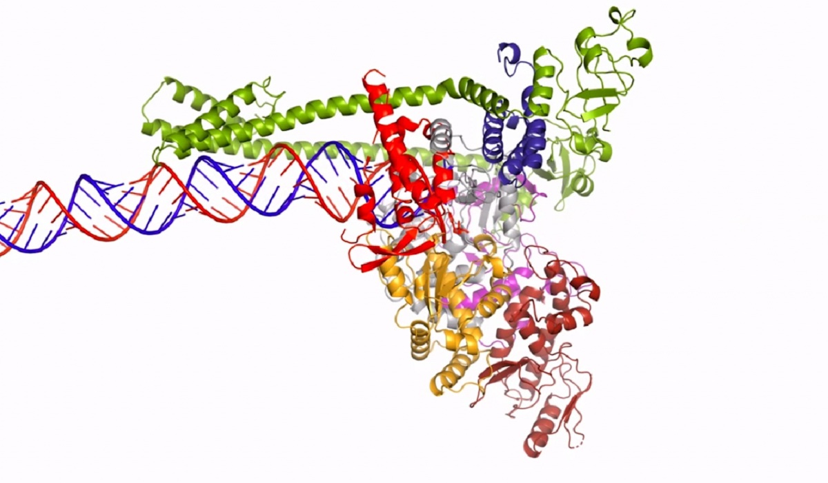 করোনা: রাশিয়া-সৌদি আরবের সাথে মিল পাওয়া গেছে বাংলাদেশের ভাইরাসের করোনা: রাশিয়া-সৌদি আরবের সাথে মিল পাওয়া গেছে বাংলাদেশের ভাইরাসের