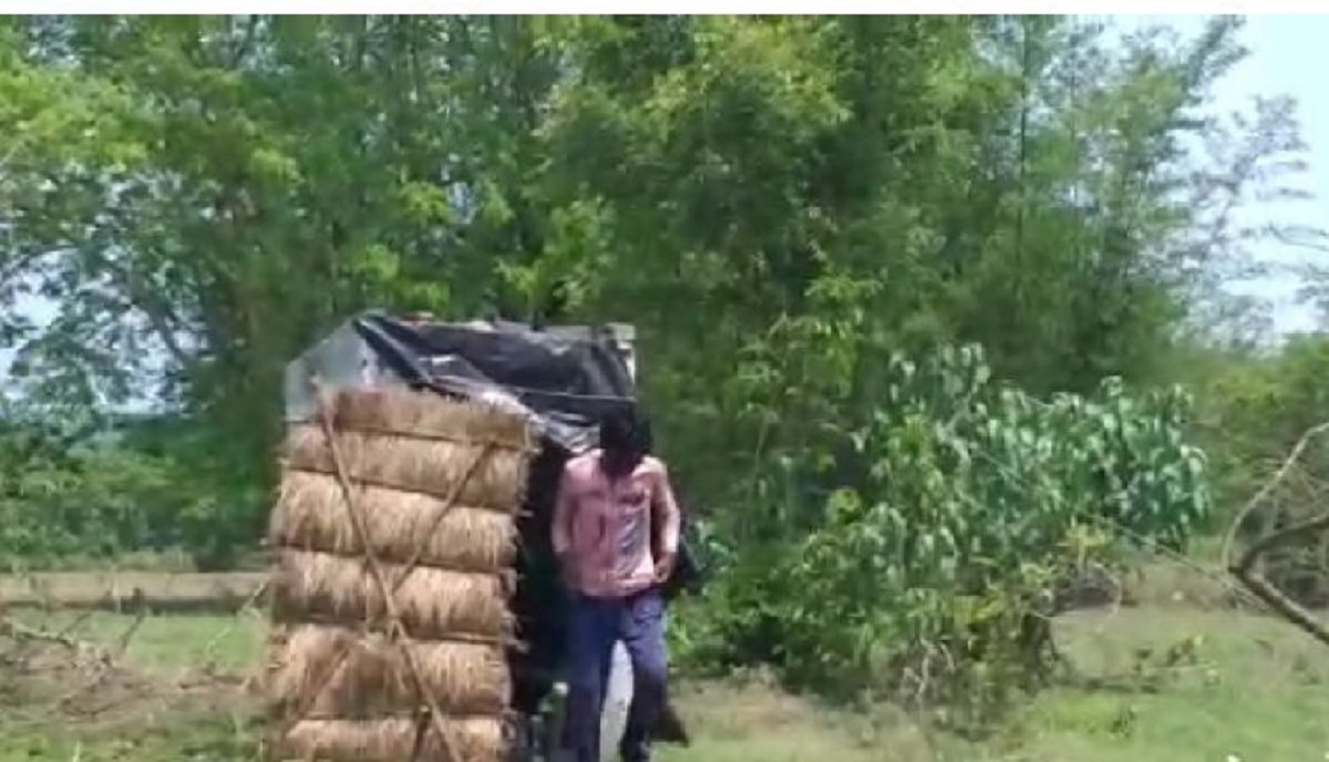 ঘরে জায়গা নেই, টয়লেটে কোয়ারেন্টাইনে যুবক!