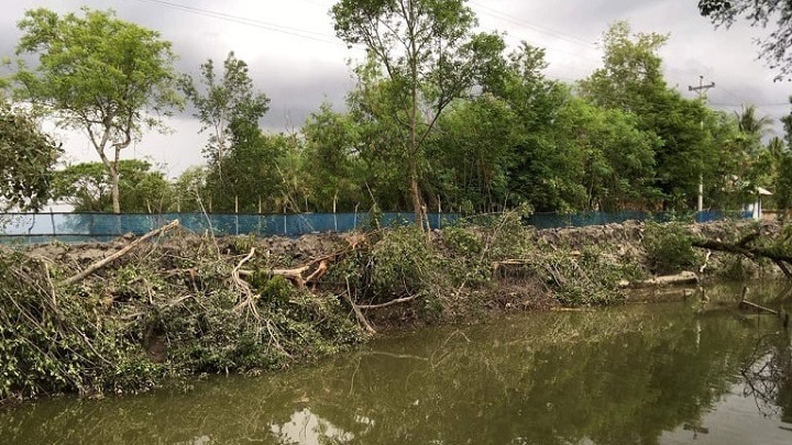 শ্যামনগরে সড়ক নির্মাণে সহস্রাধিক গাছ কাটার অভিযোগ