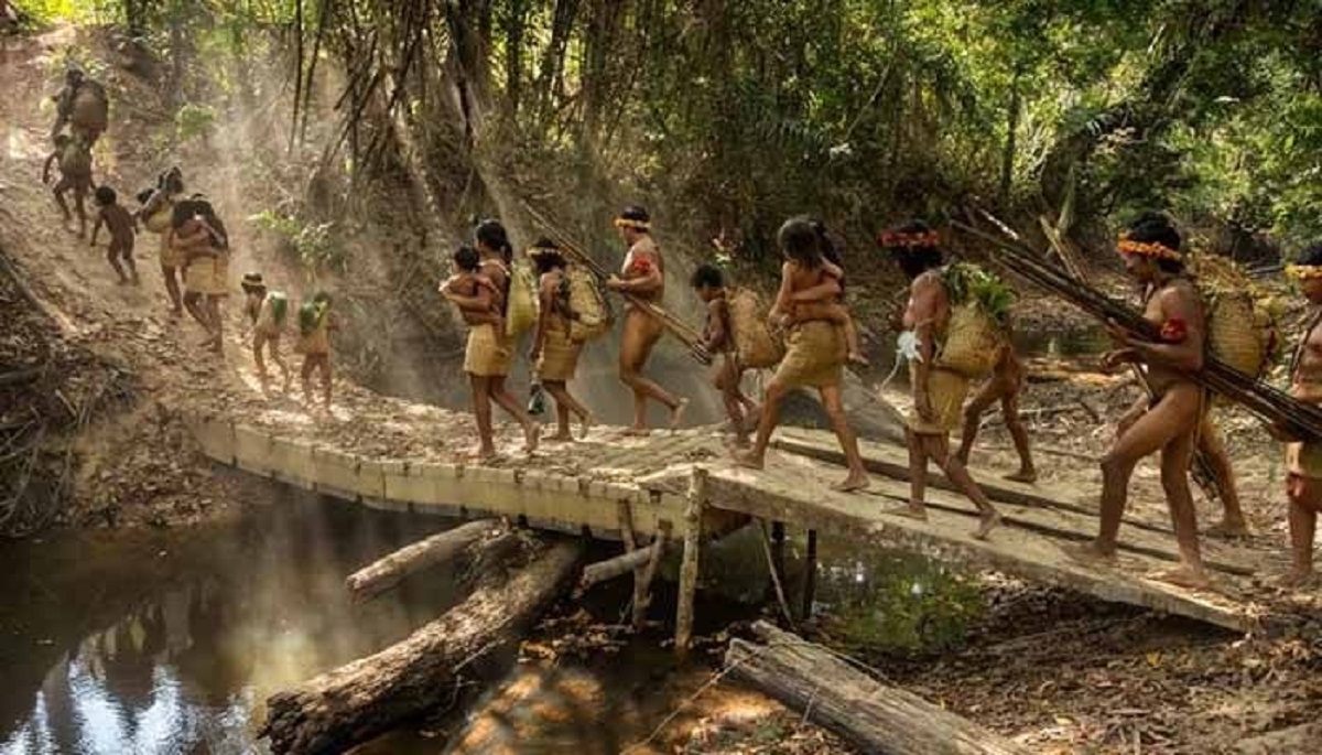 আমাজানে করোনার হানা, গভীর জঙ্গলে চলে যাচ্ছে আদিবাসীরা