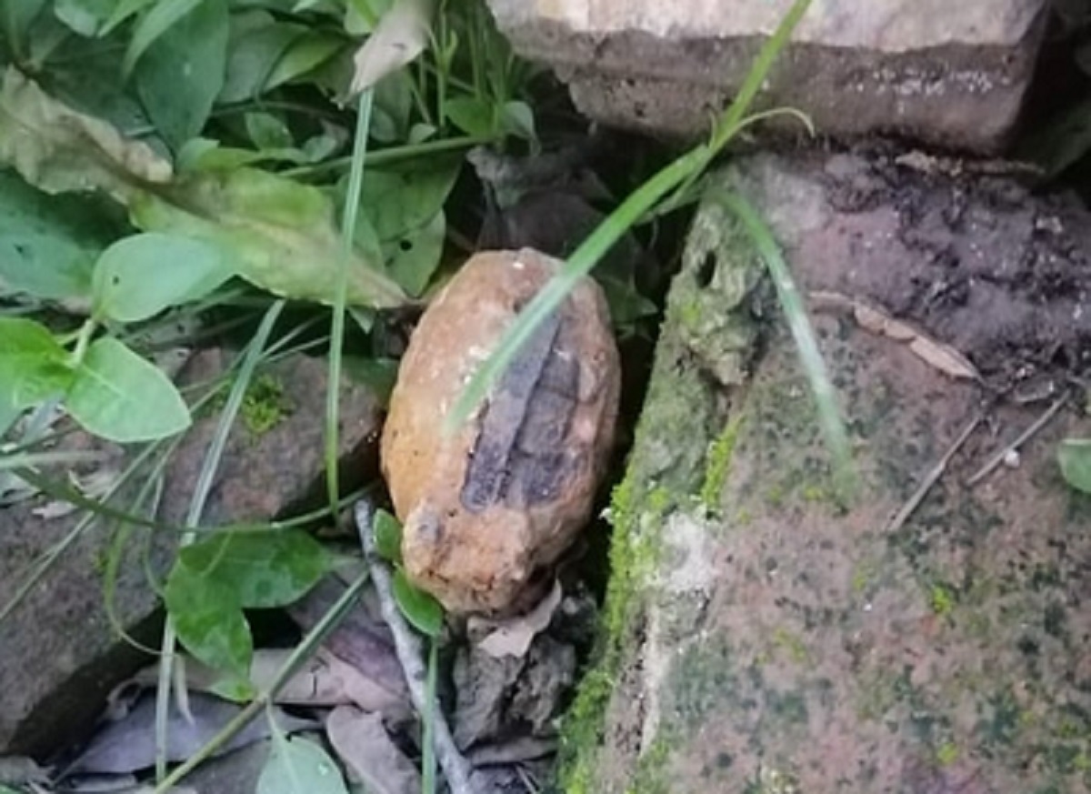 নাটোরে হ্যান্ড গ্রেনেট উদ্ধার