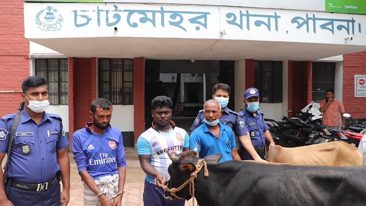 চাটমোহরে চুরি যাওয়া গরু উদ্ধার: ৩ চোর আটক