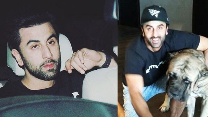 করোনা টেস্ট নয়, কুকুরের কামড় খেয়ে হাসপাতালে রণবীর