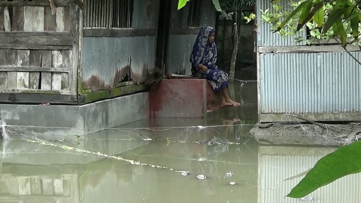 বাগেরহাটে অতিবর্ষণে বাসাবাড়িতে পানি, ভেসে গেছে মৎস্য খামার