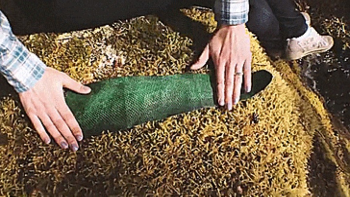 মাছের চামড়া দিয়েই তৈরি হচ্ছে বেল্ট মানিব্যাগ