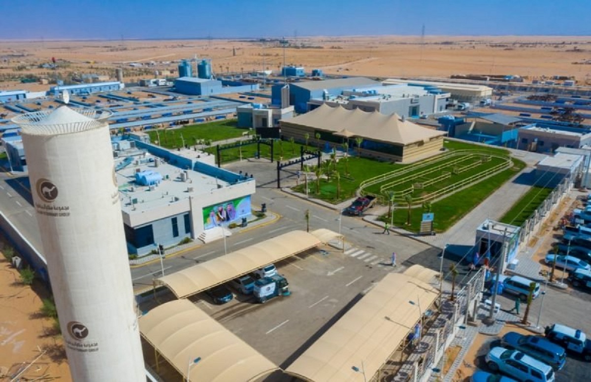 উটের চিকিৎসায় বিশ্বের সবচেয়ে বড় হাসপাতাল তৈরি করলো সৌদি