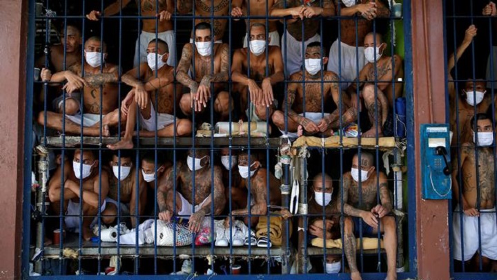 জেলখানা, নাকি চিড়িয়াখানা?