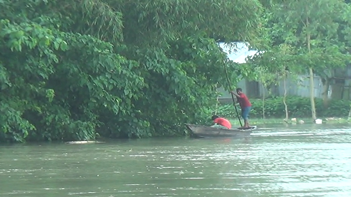 কুড়িগ্রামে কমতে শুরু করেছে ধরলার পানি