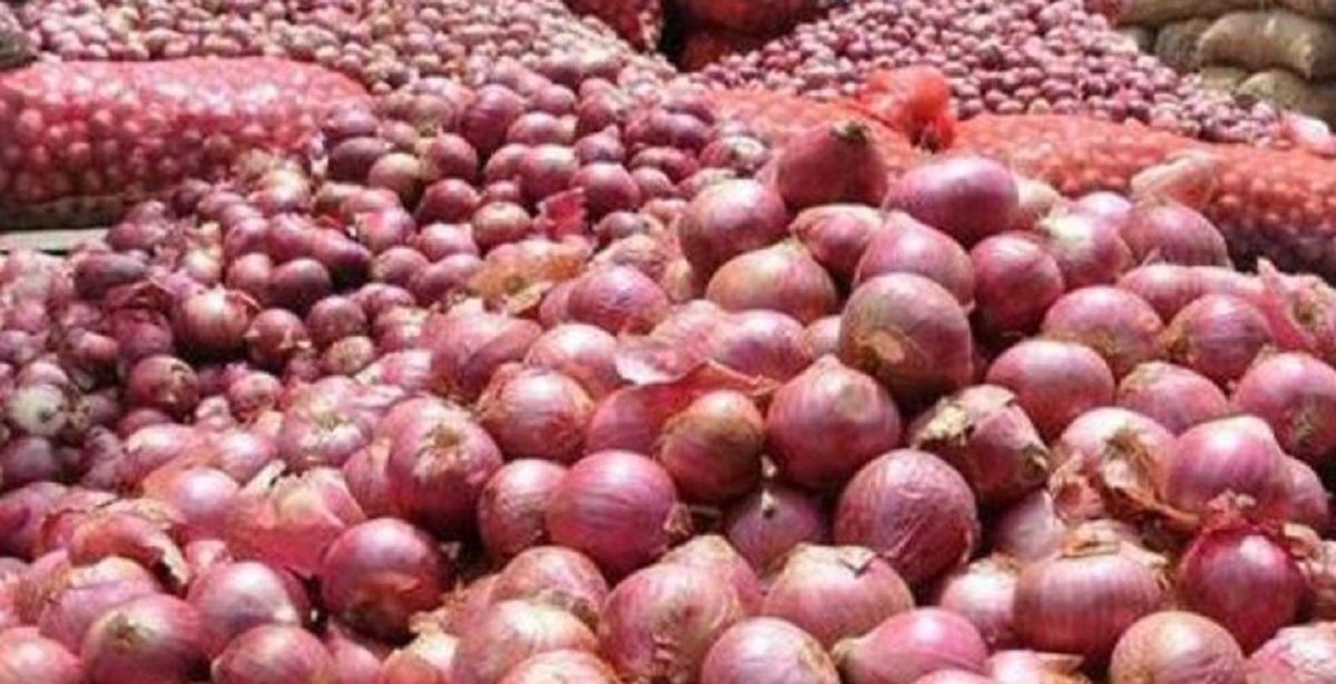 পাইকারিতেও বাড়ছে পেঁয়াজের ঝাঁজ এখনোও চড়া দামেই বিক্রি হচ্ছে পেঁয়াজ