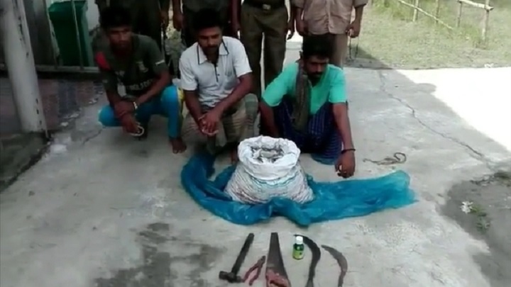 সুন্দরবনে খালে বিষ দিয়ে মাছ শিকার, ৩ চোরা শিকারি আটক