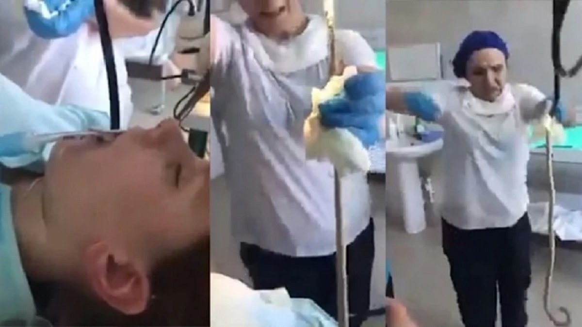 ঘুমন্ত নারীর মুখে ঢুকল ৪ ফুট লম্বা সাপ! (ভিডিও) ঘুমন্ত নারীর মুখে ঢুকল ৪ ফুট লম্বা সাপ