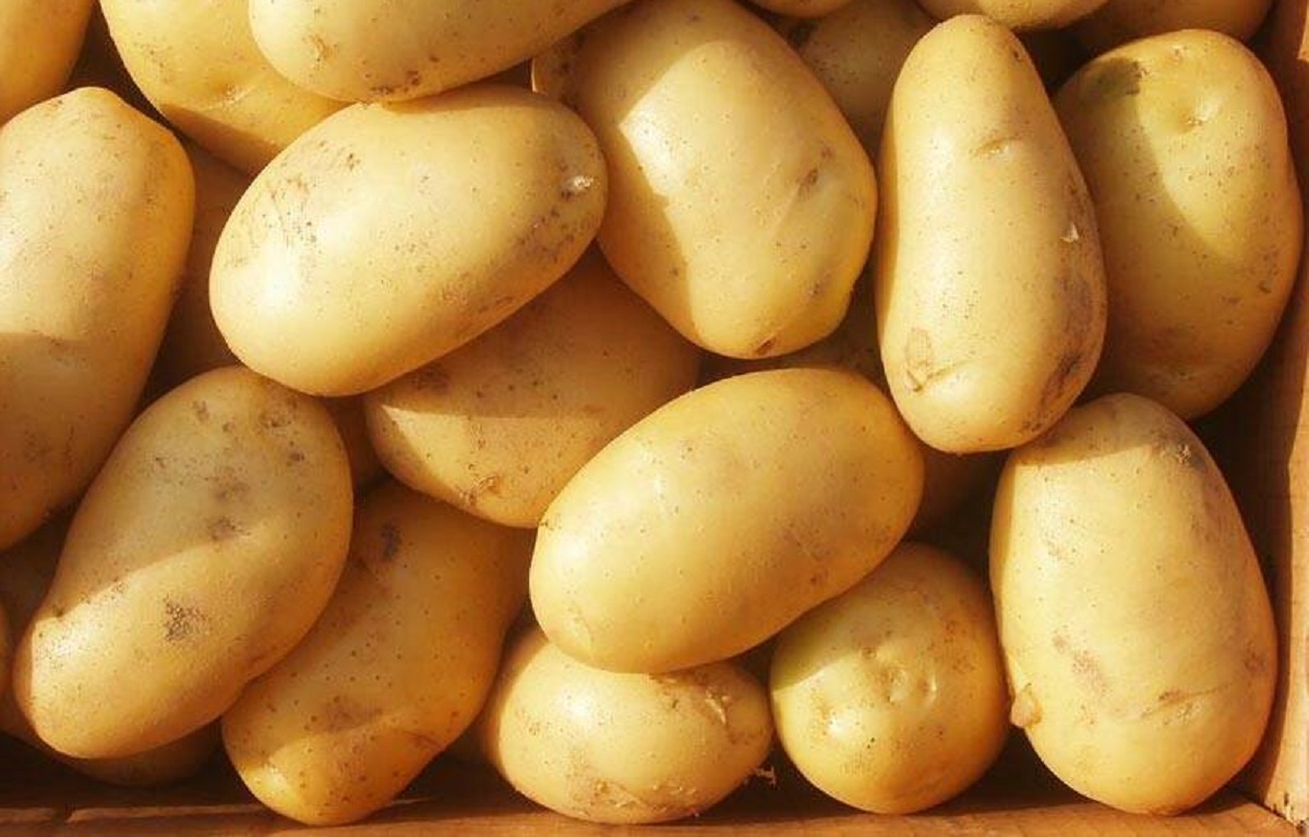 খুচরা পর্যায়ে কেজিতে আলুর দাম ৩০ টাকা নির্ধারণ করে দিয়েছে সরকার