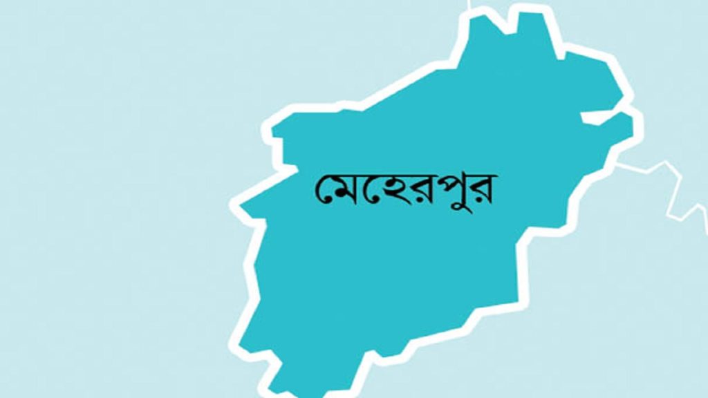 মেহেরপুরে গৃহবধূকে পুড়িয়ে হত্যার অভিযোগ