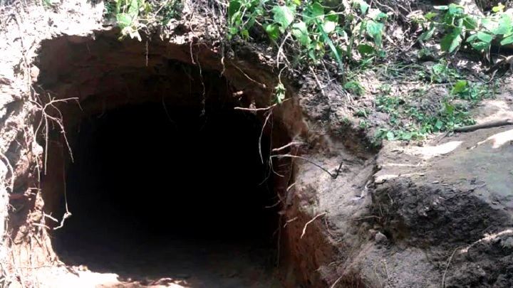 জম্মু-কাশ্মিরে ১৫০ মিটার গোপন সুড়ঙ্গ আবিষ্কার