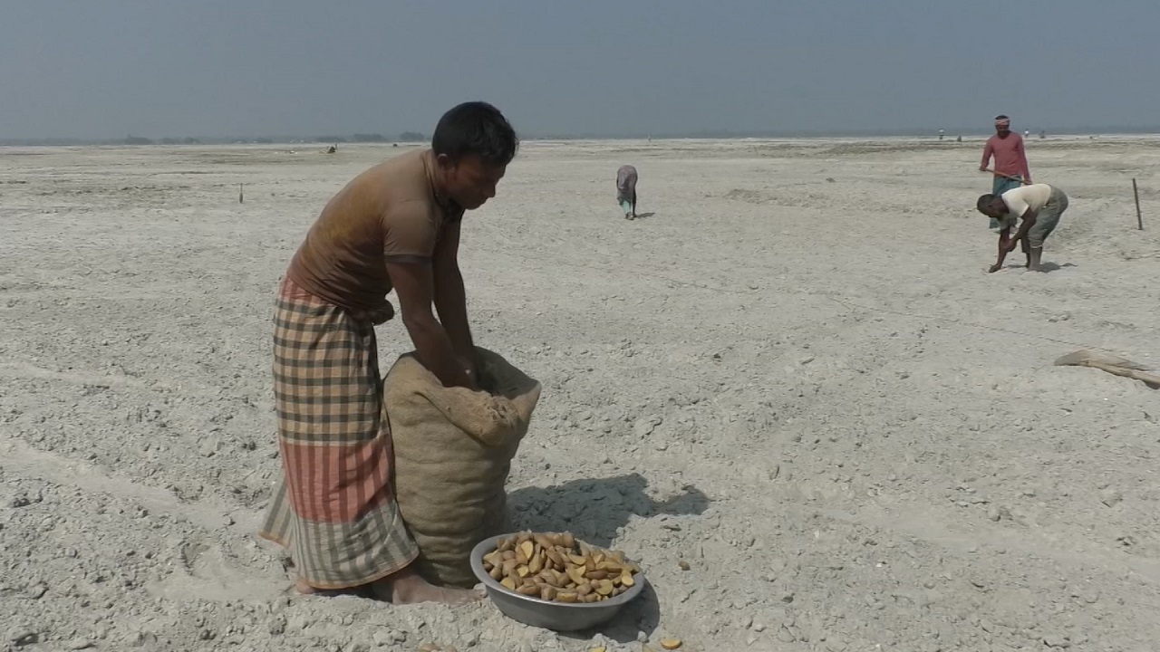 তিস্তার বালুচরে জীবন বাঁচানোর স্বপ্ন বুনছেন লাখো কৃষক