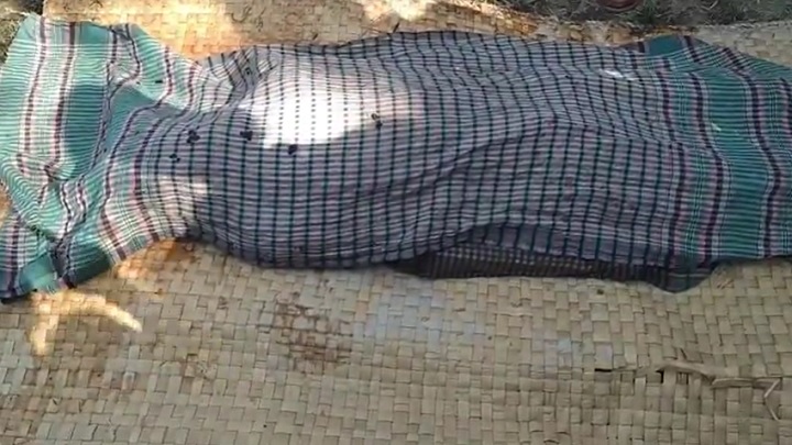 বরগুনায় শুকরের হামলায় বৃদ্ধের মৃত্যু