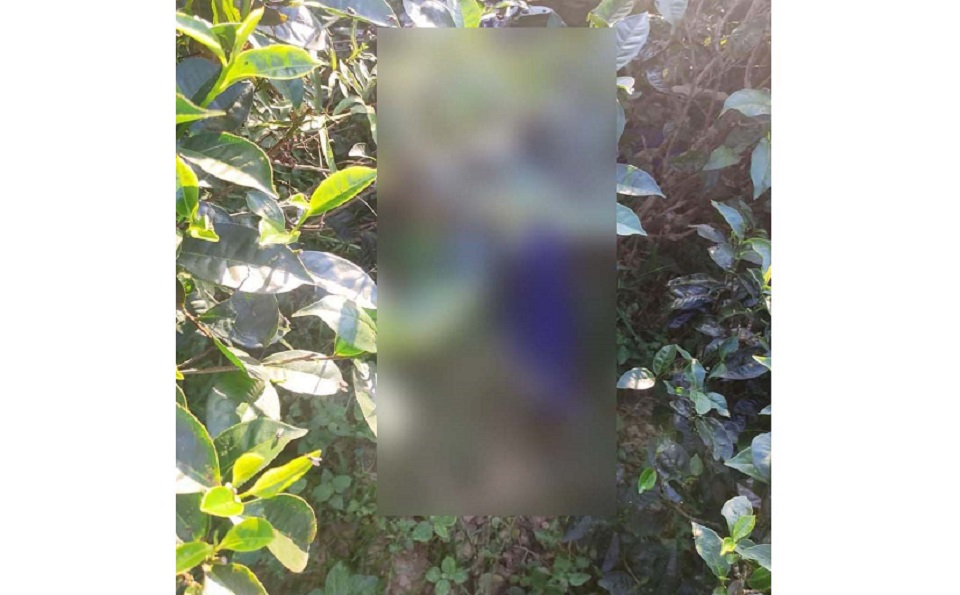 তরুণী হত্যার অভিযোগে প্রেমিক আটক