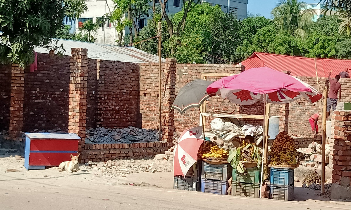 নরসিংদীতে উচ্ছেদের ২০ দিন পর ফের অবৈধ দখল