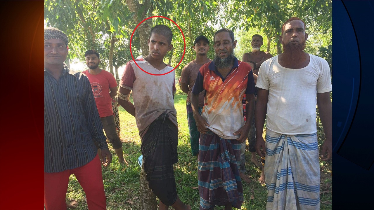 ঘাস খাওয়া অবস্থায় গরুর কলিজা, ভুঁড়ি কাঁচা খেয়ে ফেললো কিশোর