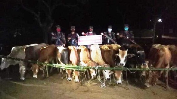 কলমাকান্দা সীমান্তে ৩৯টি ভারতীয় গরু আটক