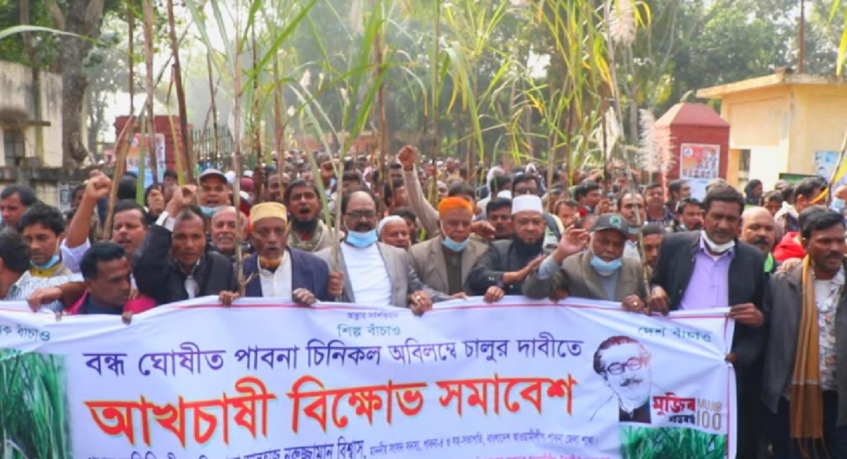 পাবনা চিনিকলসহ রাষ্ট্রায়ত্ত ৬টি চিনিকল চালুর দাবিতে আখচাষিদের বিক্ষোভ