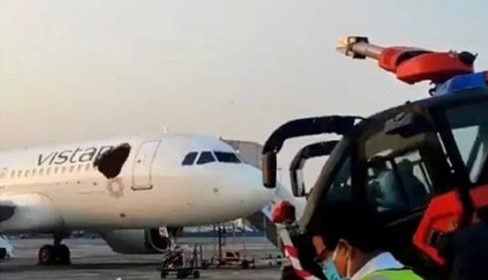 বিমানের তিন তলায় মৌচাক, ঢিল ছুড়লো কে?