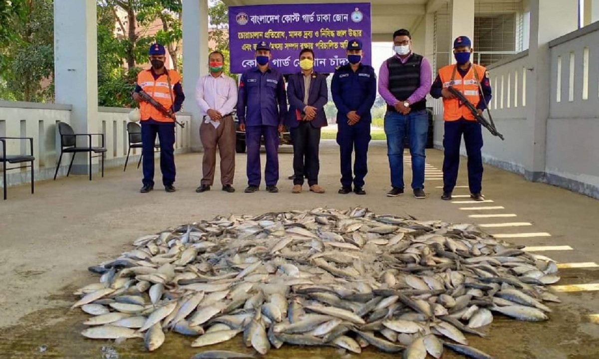 চাঁদপুরে যাত্রীবাহী লঞ্চ থেকে বিপুল পরিমাণ জাটকা জব্দ