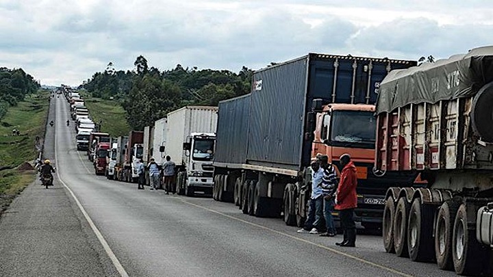 জিম্বাবুয়ের সীমান্তে করোনা পরীক্ষার লাইনে দাঁড়িয়েই ১৫ জনের মৃত্যু