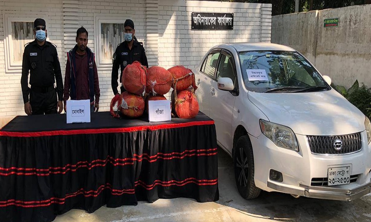 রংপুরে ৭৭ কেজি গাঁজাসহ মাদক ব্যবসায়ী গ্রেফতার