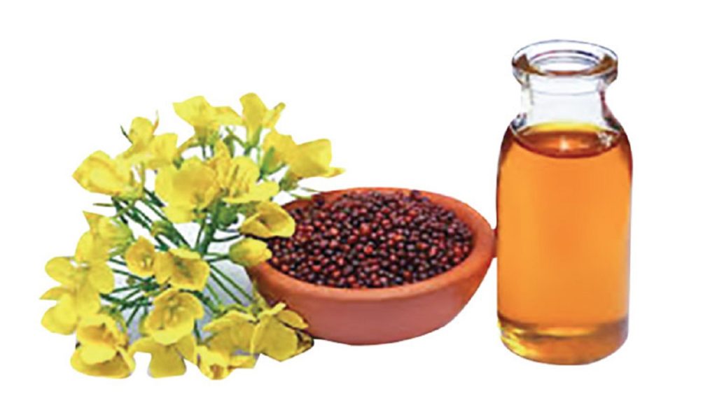 শীতের সুস্থতায় সরিষা তেলের গুণাগুণ