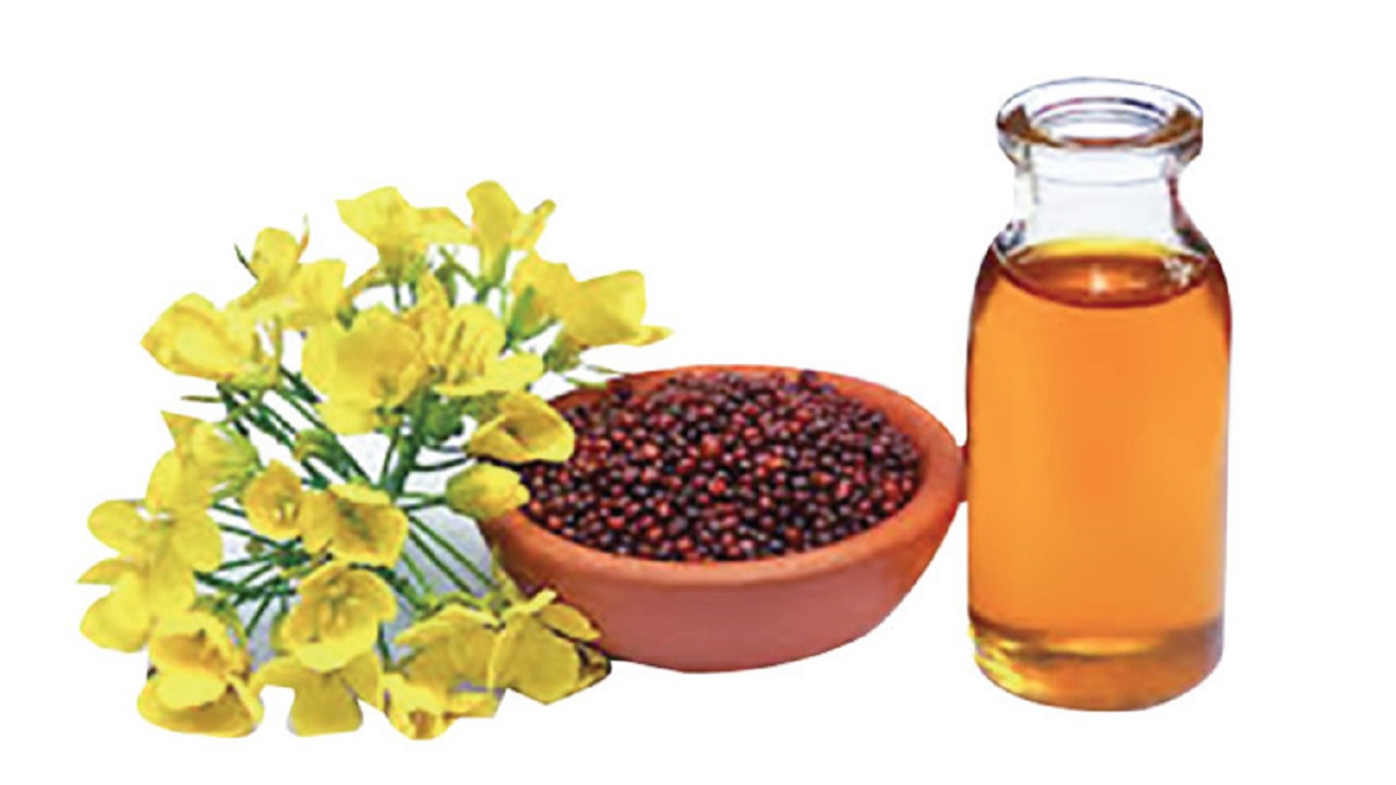 শীতের সুস্থতায় সরিষা তেলের গুণাগুণ শীতের সুস্থতায় সরিষা তেলের গুণাগুণ