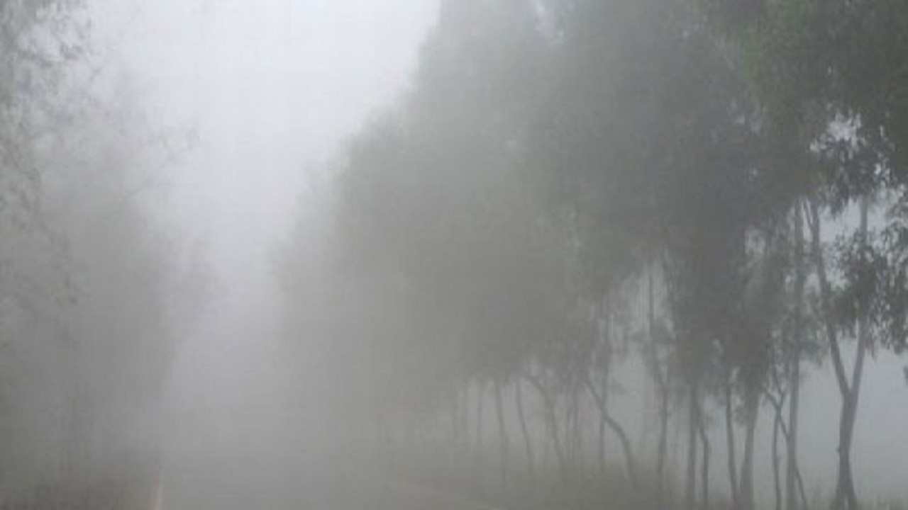 হাড় কাঁপানো শীত, তাপমাত্রা নামল ৫.৫ ডিগ্রিতে পঞ্চগড়ে শীতের দাপটে বিপর্যস্ত জনজীবন