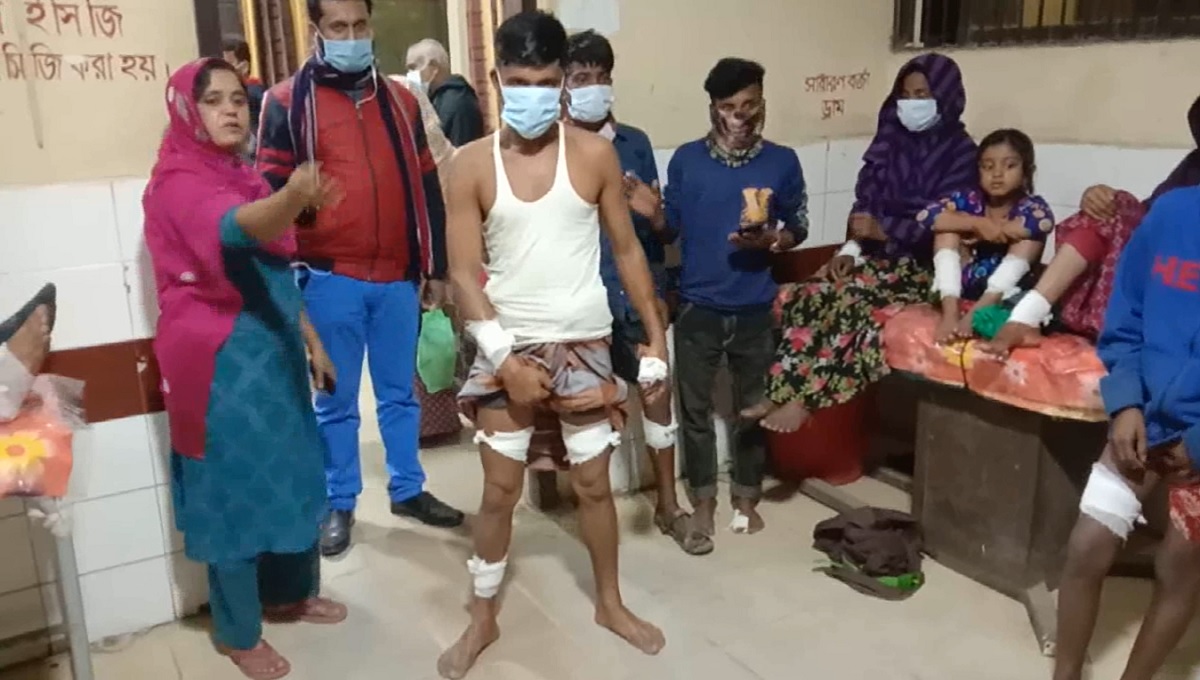 শিয়ালের কামড়ে আহত অর্ধশত, আতঙ্কে রাত জেগে গ্রামবাসীর পাহারা