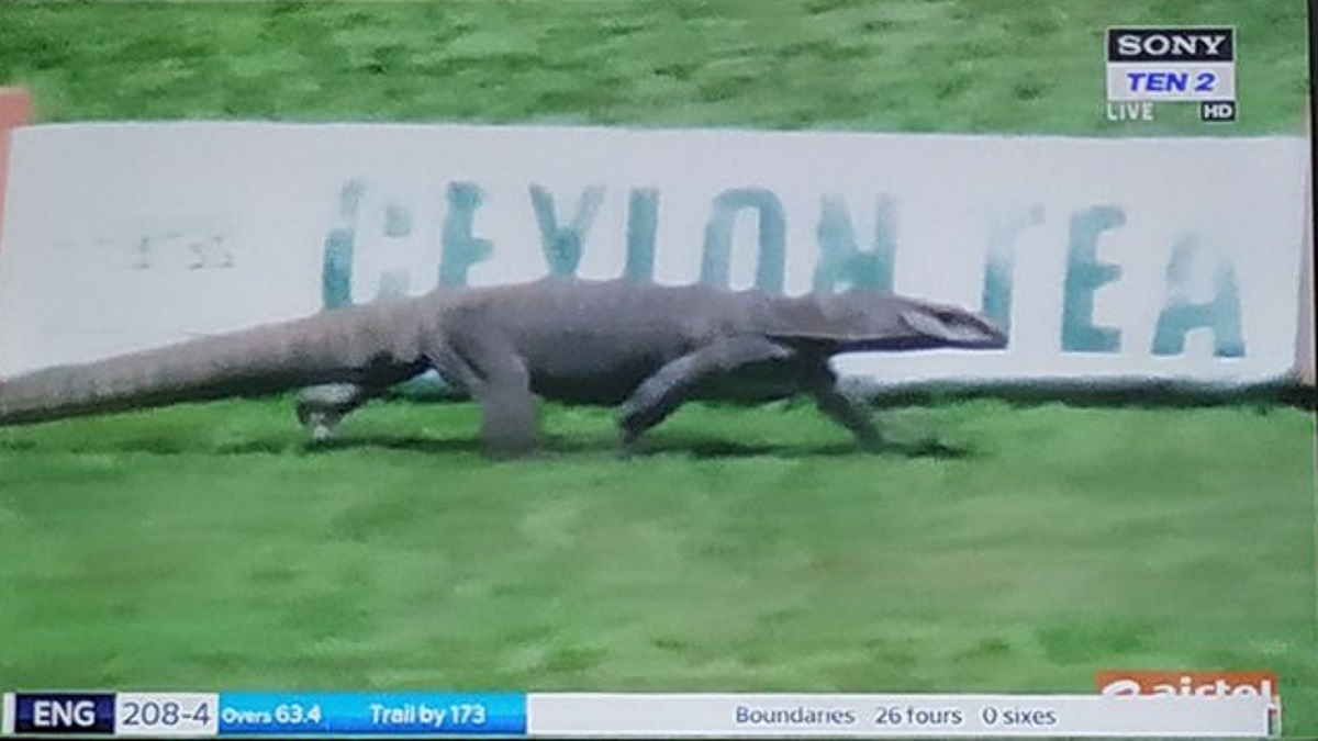 গল টেস্টের প্রধান অতিথি গুইসাপ, টুইটে লিখেছেন শচীন