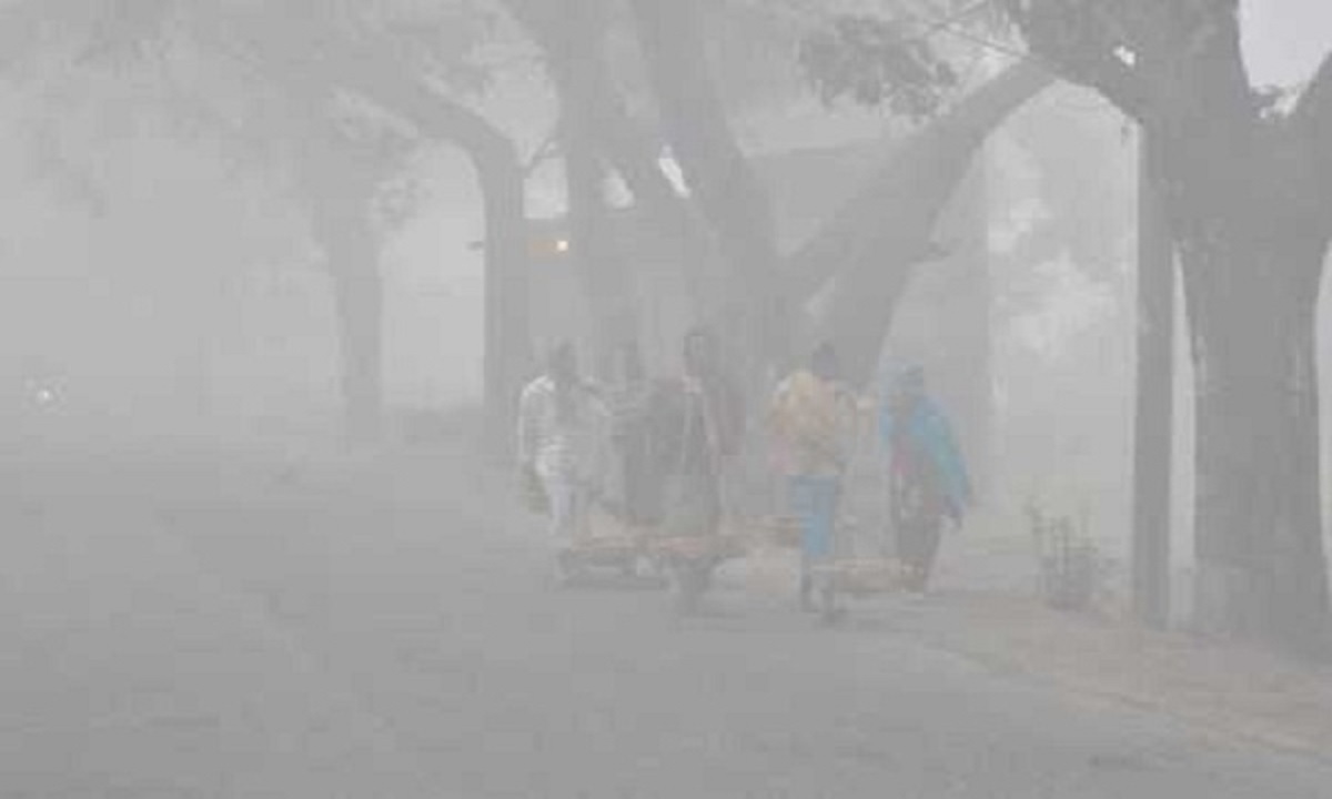 ঘনকুয়াশা আর কনকনে ঠান্ডায় বিপর্যস্ত উত্তরাঞ্চল