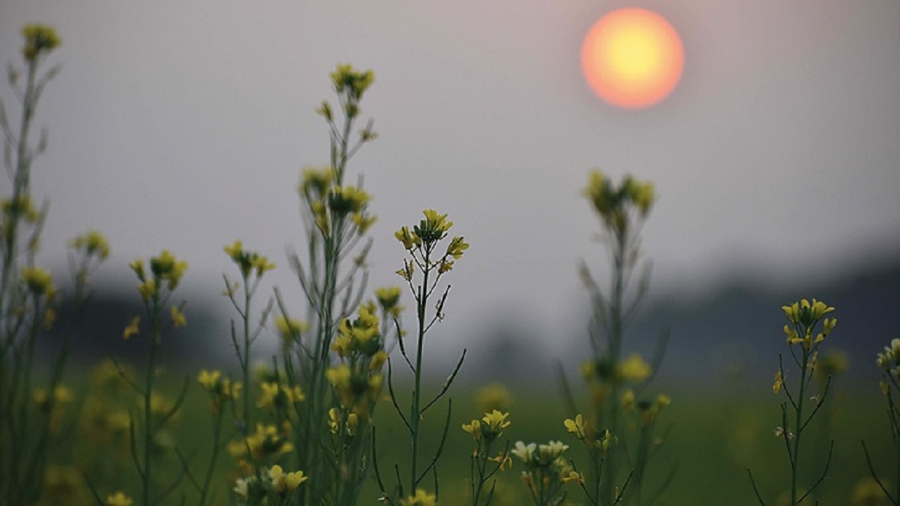 লালমনিরহাটে জেঁকে বসেছে শীত, বিপর্যস্ত জনজীবন