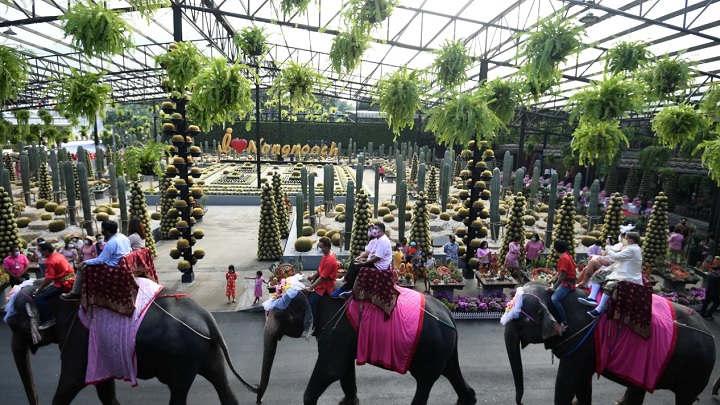 ভালোবাসা দিবসে হাতির পিঠে চড়ে ৫২ দম্পতির বিয়ের আয়োজন