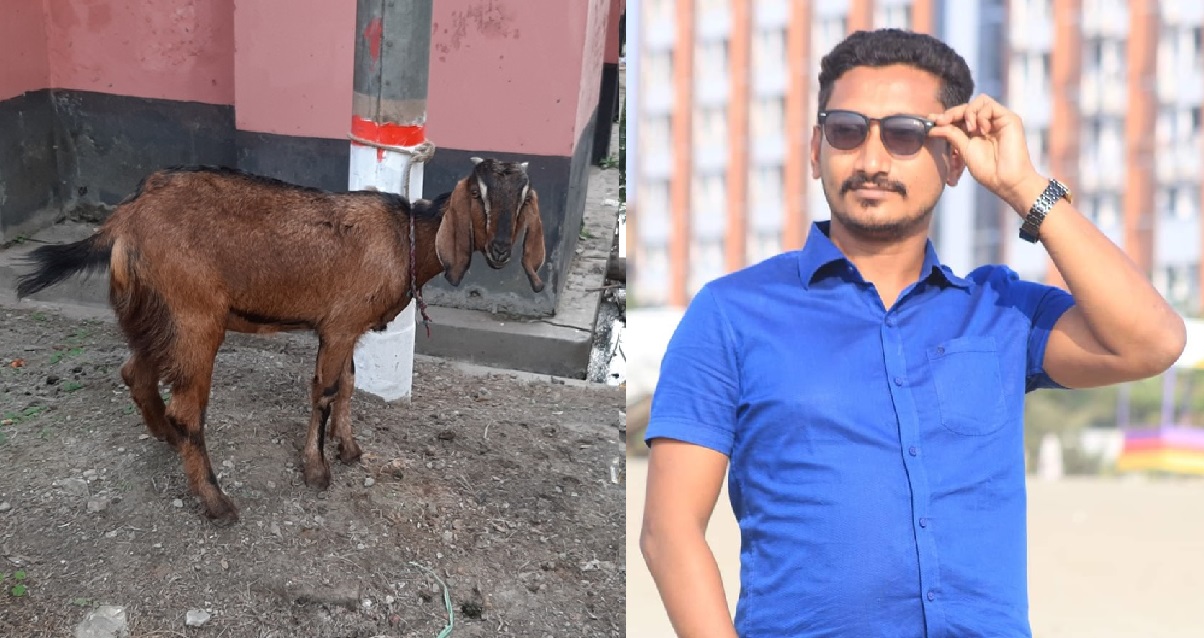 ছাগল চুরির অভিযোগে ছাত্রলীগ নেতাসহ ৪ জন আটক