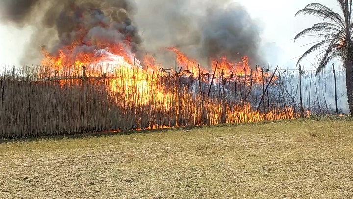 হরিণাকুন্ডুতে আগুনে পুড়ল ২৫ কৃষকের ১২ বিঘা জমির পানবরজ