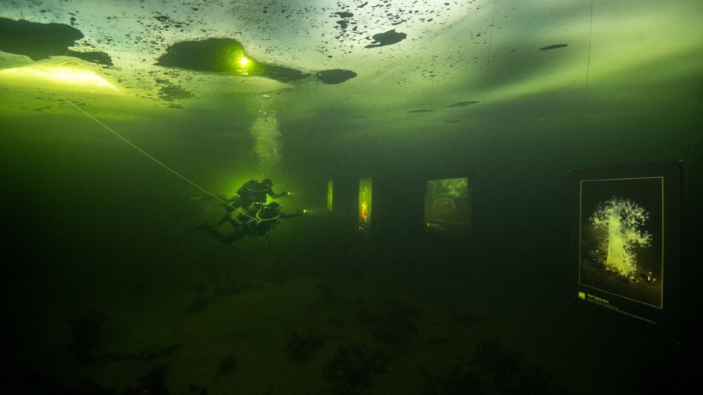 রাশিয়ায় শূন্য ডিগ্রি তাপমাত্রায় বিরল প্রদর্শনী!