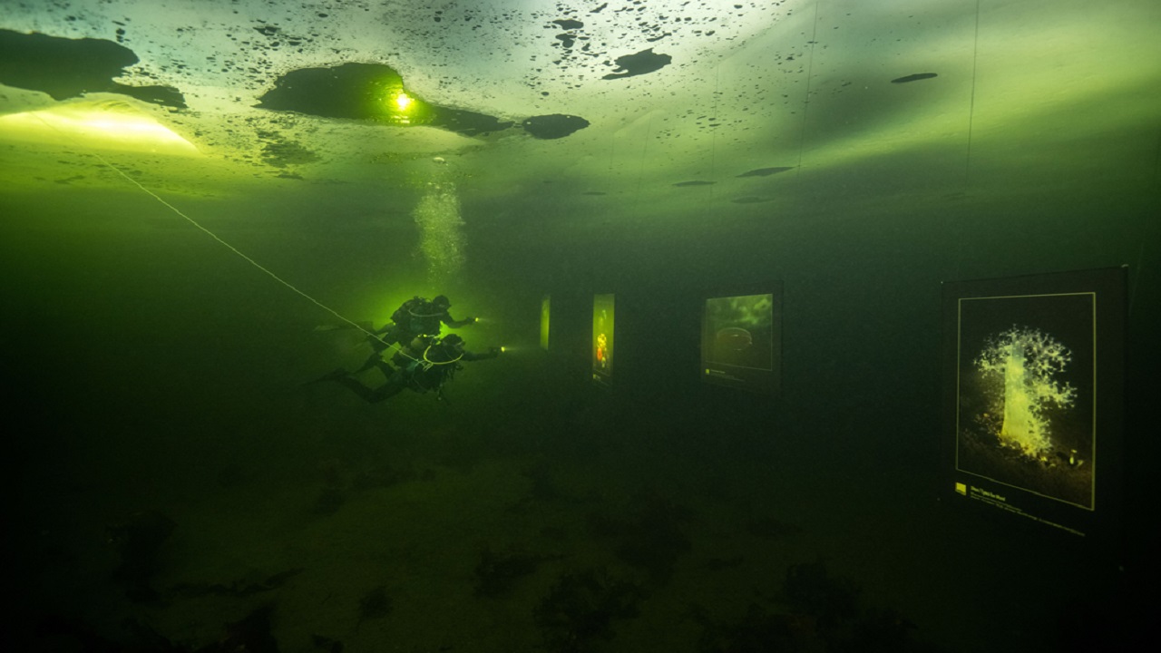 রাশিয়ায় শূন্য ডিগ্রি তাপমাত্রায় বিরল প্রদর্শনী! রাশিয়ায় শূন্য ডিগ্রি তাপমাত্রায় বিরল প্রদর্শনী!