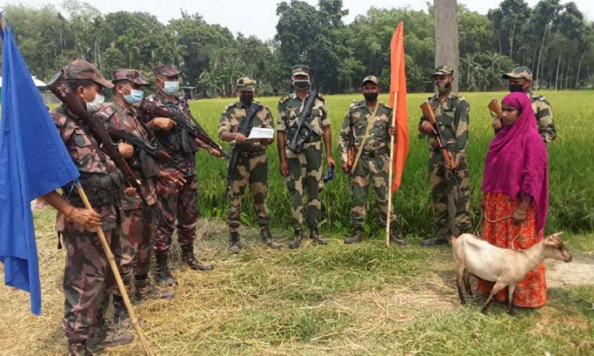 ছাগল খুঁজতে বাংলাদেশে প্রবেশ, ভারতীয় নারীকে বিএসএফে সোপর্দ