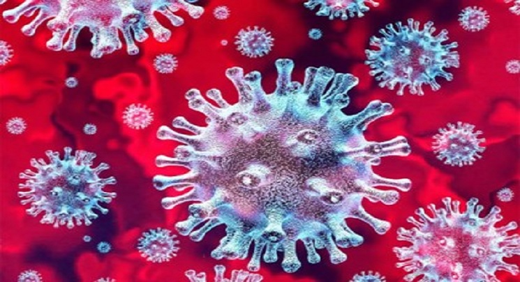 গত ২৪ ঘণ্টায় করোনা শনাক্তের হার ২৩ দশমিক ১৫ শতাংশ