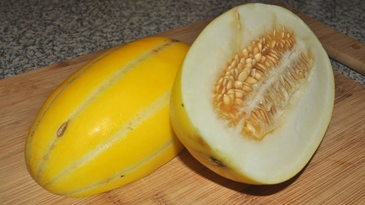 অবহেলা নয়, ভালবাসুন পুষ্টিগুণে ভরপুর বাঙ্গিকে