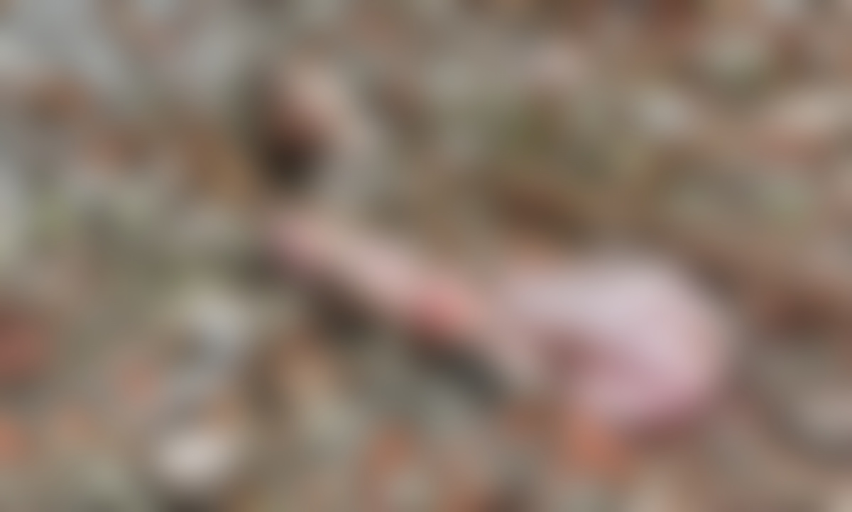 টাঙ্গাইলে রাস্তার পাশ থেকে নবজাতকের লাশ উদ্বার