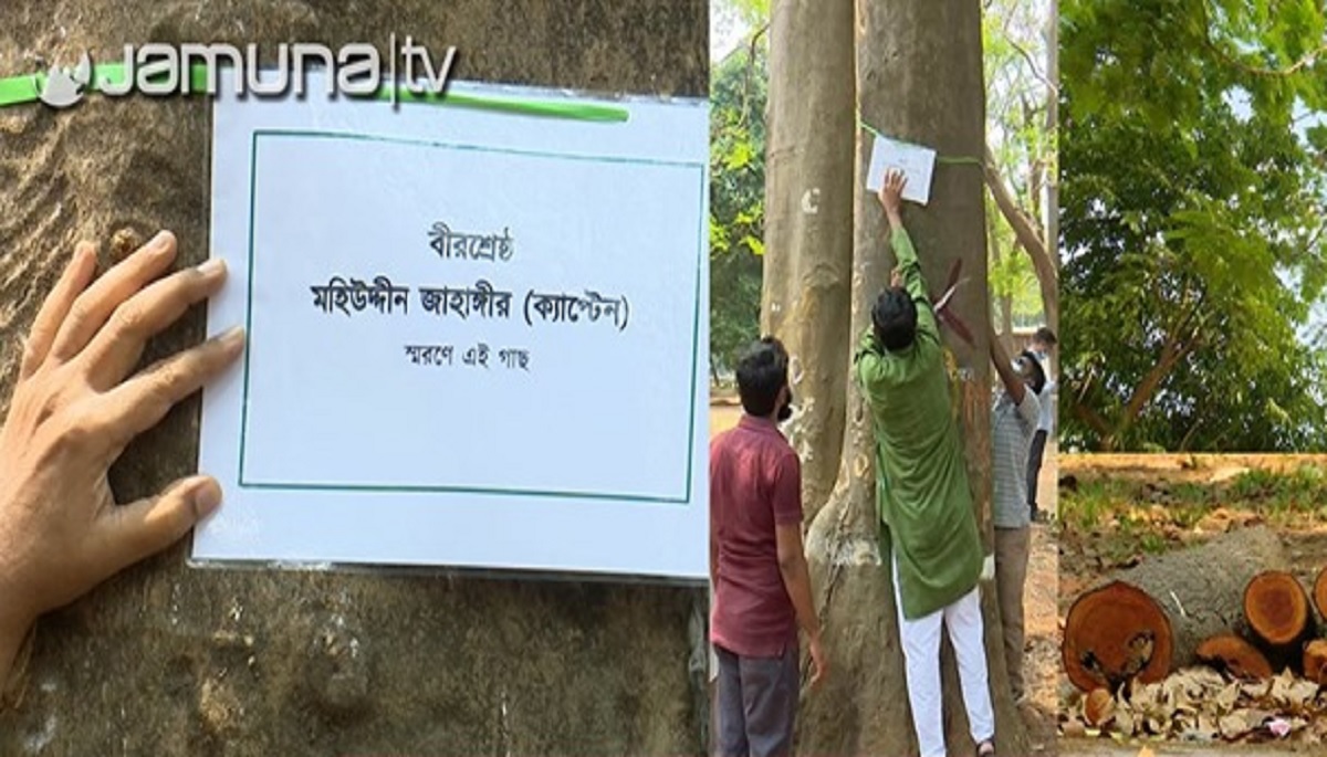 গাছের নাম বীরশ্রেষ্ঠ মহিউদ্দিন; থামবে করাত, মিলবে রক্ষা?